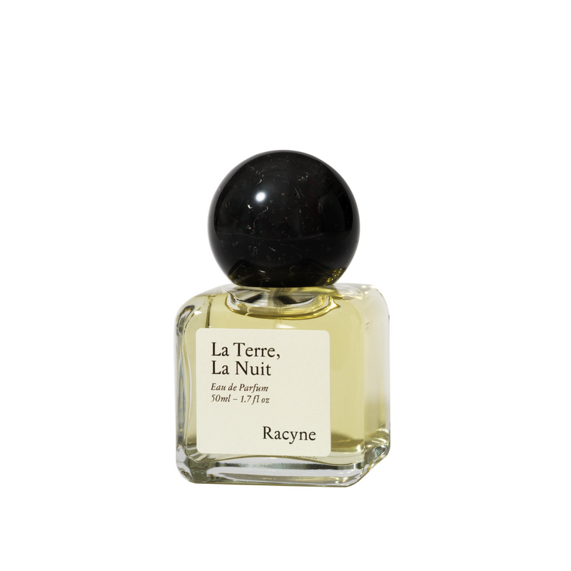 La Terre La Nuit